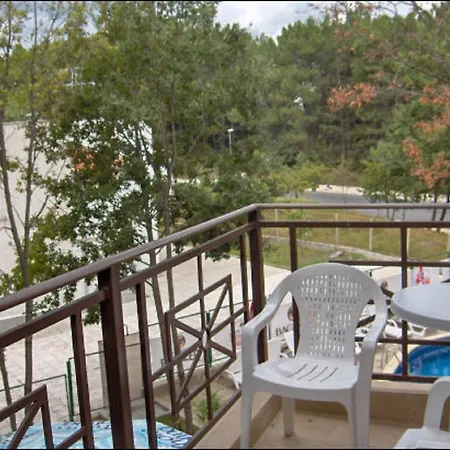 Family Phoenix * 키텐