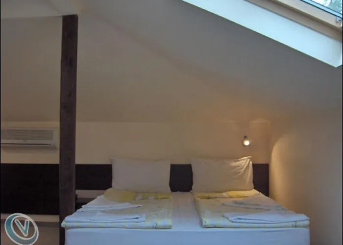 Family Phoenix كيتن